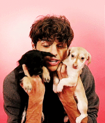 Candy29 5d4d948081324.gif