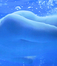 Candy30 5d4d96f7dbec5.gif