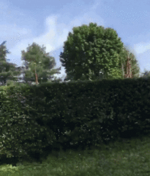 Adorable Eye Candy 275 young twink boy porn 5f48f5b44d533.gif