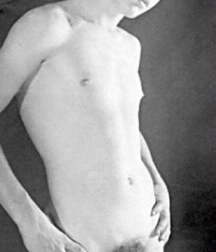 Eye Candy 443 young twink boy porn 601f130b3ad16.jpg