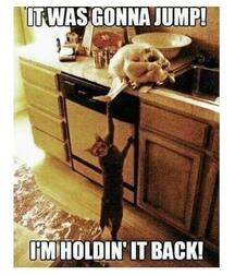 Stars nude nice straight Action Eye Candy twink porn 61fa9769568dc.jpeg