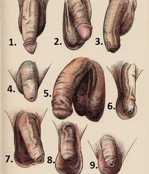 This & That 5a88ed54ee8a0.jpg