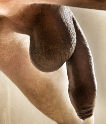 This & That 3 5a8a220de06b9.jpg