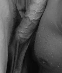 This & That 3 5a8a240d95b72.jpg