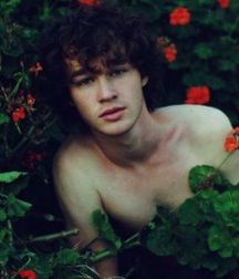 The Tender Age 5a54a02874eb2.jpg