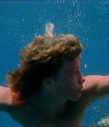 Willie Aames in Paradise (Vintage 1982) 5a7f6e2e08d5d.jpg