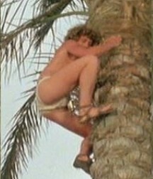 Willie Aames in Paradise (Vintage 1982) 5a7f6eb05b314.jpg