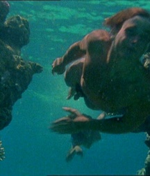 Willie Aames in Paradise (Vintage 1982) 5a7f6ecd61818.jpg