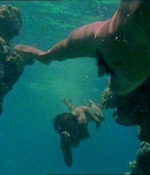 Willie Aames in Paradise (Vintage 1982) 5a7f6ed592134.jpg