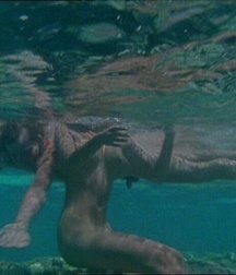 Willie Aames in Paradise (Vintage 1982) 5a7f6eddde04d.jpg
