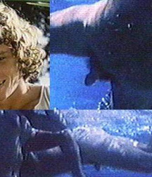 Willie Aames in Paradise (Vintage 1982) 5a7f6f02ac8d9.jpg