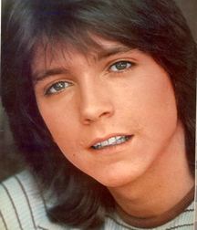 David  Cassidy - In memoriam