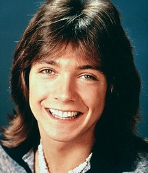 David  Cassidy - In memoriam 5a84681b3f29d.jpg