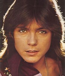 David  Cassidy - In memoriam 5a84681f7a0a4.jpg