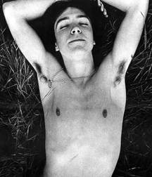 David  Cassidy - In memoriam 5a84682395269.jpg