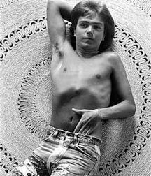 David  Cassidy - In memoriam 5a84682780d09.jpg