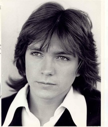David  Cassidy - In memoriam 5a84683f3d152.jpg