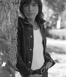 David  Cassidy - In memoriam 5a846885e27ba.jpg