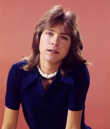David  Cassidy - In memoriam 5a8468a91667b.jpg
