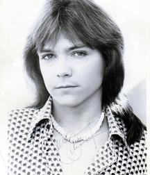 David  Cassidy - In memoriam 5a8468d61bf61.jpg