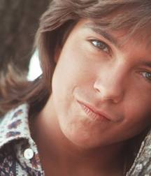 David  Cassidy - In memoriam 5a8468e2e6135.jpg