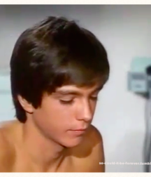 David  Cassidy - In memoriam 5a8468f35d932.png