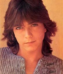David  Cassidy - In memoriam 5a8468ff62ebc.jpg