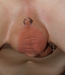 Boys with Piercings 5a982057c63a2.jpg