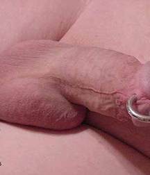 Boys with Piercings 5a9820b5c1822.jpg