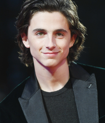 Timothée Chalamet - The Rising Star 5a9b0de68cae3.jpg