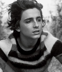 Timothée Chalamet - The Rising Star 5a9b0e222824f.jpg