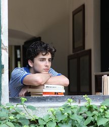 Timothée Chalamet - The Rising Star 5a9b0e2c1ddf9.jpg