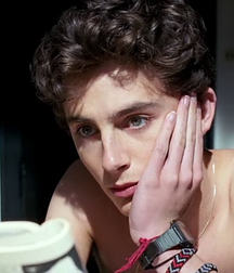 Timothée Chalamet - The Rising Star 5a9b0f9c7e65a.png