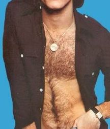 Andy Gibb - Memorial 5aa8c2fc972d7.jpg