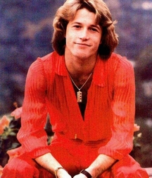 Andy Gibb - Memorial 5aa8c303d62db.jpg