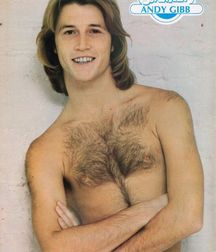 Andy Gibb - Memorial 5aa8c30859d98.jpg