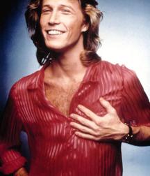 Andy Gibb - Memorial 5aa8c30c3bd01.jpg