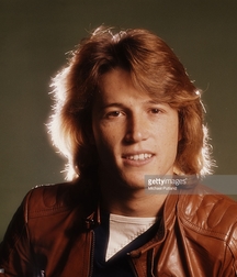 Andy Gibb - Memorial 5aa8c3184cadf.jpg