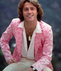 Andy Gibb - Memorial 5aa8c32734370.jpg