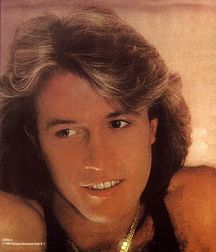 Andy Gibb - Memorial 5aa8c329230d0.jpg