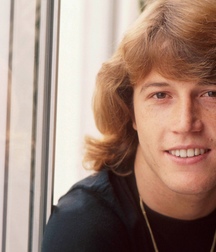 Andy Gibb - Memorial 5aa8c33b48052.jpg