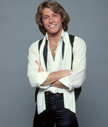 Andy Gibb - Memorial 5aa8c34033f57.jpg