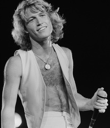 Andy Gibb - Memorial 5aa8c34243a65.jpg
