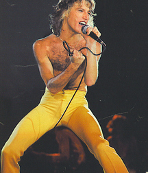 Andy Gibb - Memorial 5aa8c346587fe.jpg