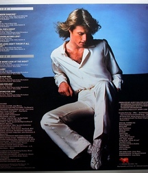 Andy Gibb - Memorial 5aa8c34e55fdc.jpg
