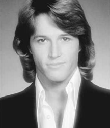 Andy Gibb - Memorial 5aa8c356bfe43.png