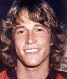 Andy Gibb - Memorial 5aa8c361eef50.png