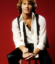 Andy Gibb - Memorial 5aa8c366698f8.jpg