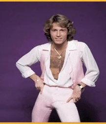 Andy Gibb - Memorial 5aa8c37ba50b8.jpg