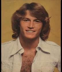 Andy Gibb - Memorial 5aa8c382b61ab.jpg